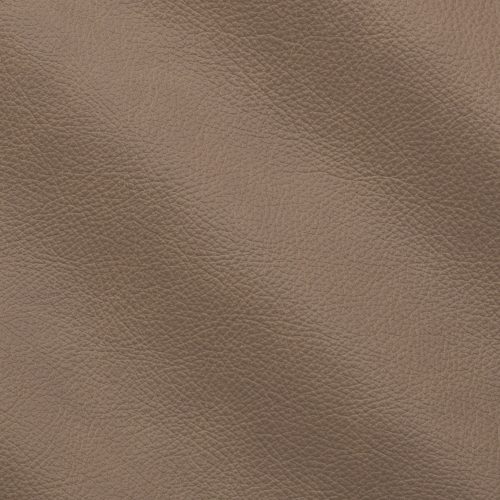 Mistral Canyon IC011005