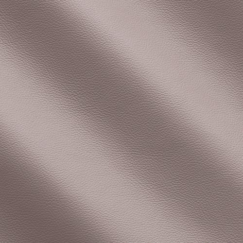 Express Life Mud 1811