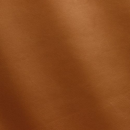 Nappa Canyon MS620049