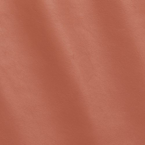 Nappa Coquille MS310227