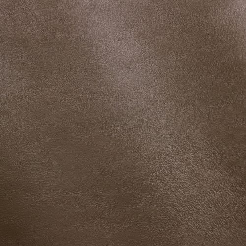 Express Fashion Nappa Earth MS190067