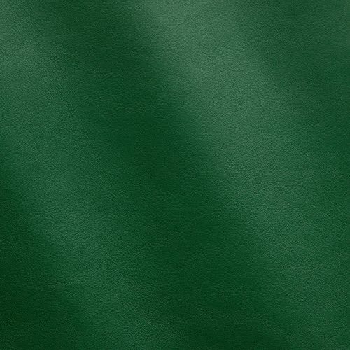 Express Fashion Nappa Green Ray MS410040