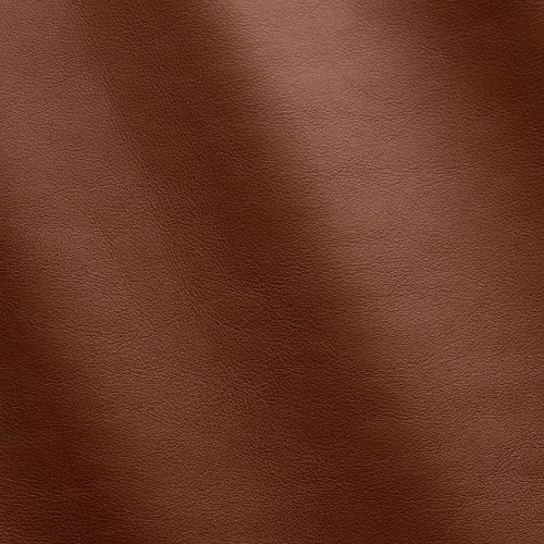 Express Fashion Nappa Lion MS640077