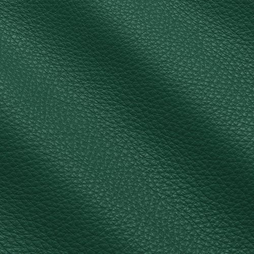 Express Fashion New York Avocado I681559