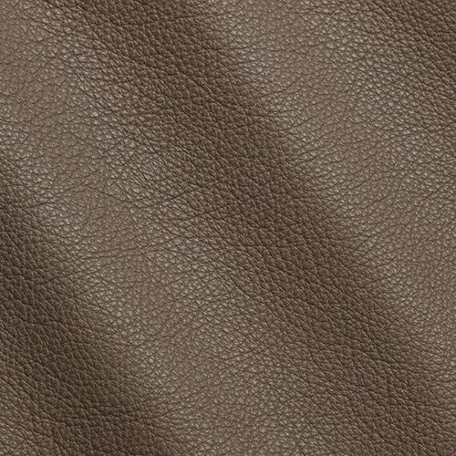 Express Fashion New York Taupe I744098