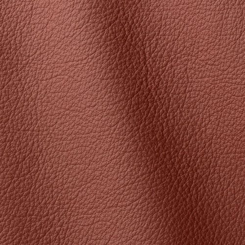 Express Fashion Ocean Alium 435
