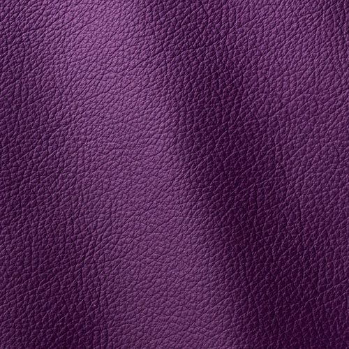 Express Fashion Ocean Purple 451