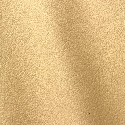 Express Fashion Ocean Vanilla 428