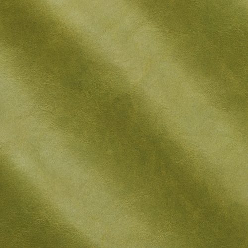 Express Fashion Organic Evergreen 10008