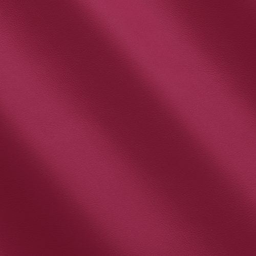 Express Olly Passion MS320019