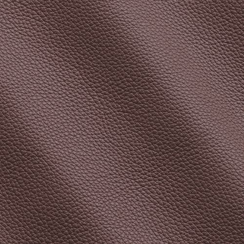 Express Fashion Peggy Brownrose I65960