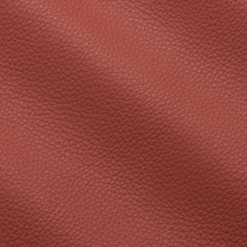 Prescott Begonia 240