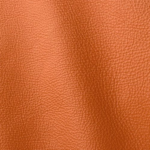 Express Fashion Prescott Claw 246