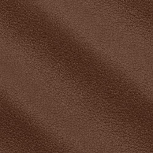 Prescott Ecureil 229