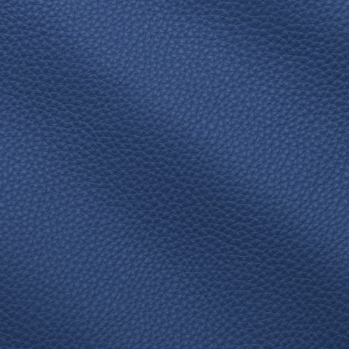 Prescott Matisse 279