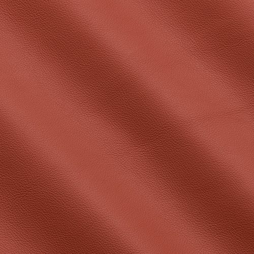 Express Fashion Primalinea Roof 10314
