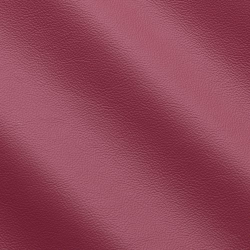 Express Life Raspberry 1835