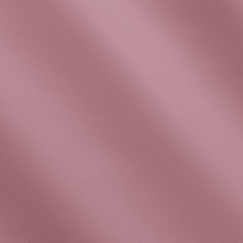 Express Olly Rosa MS310101