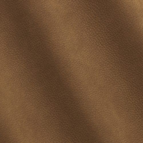 Express Kairos Russet 1726