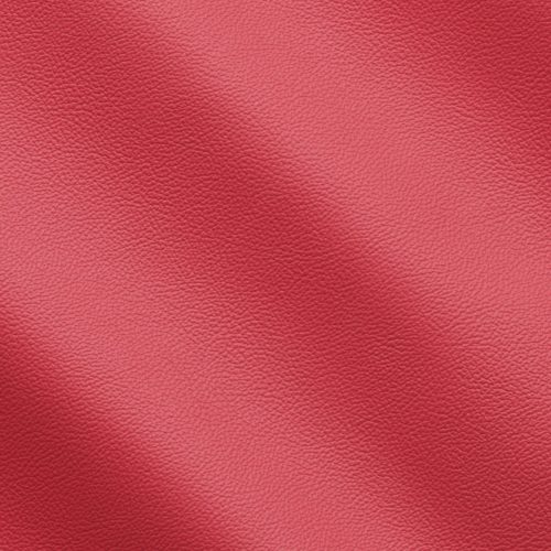 Express Life Scarlet 1810