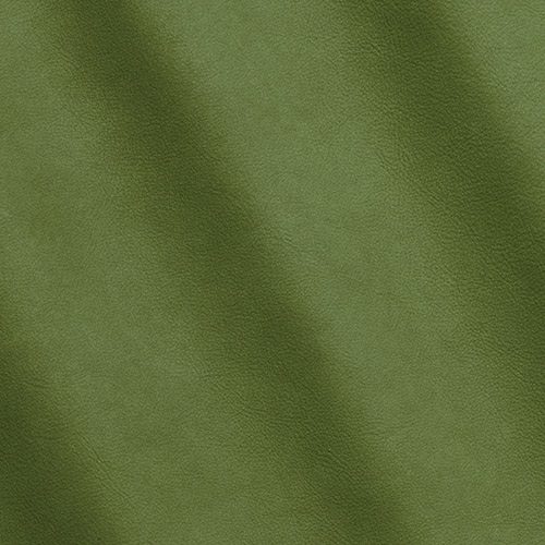 Express Fashion Sequoia Aloe 4017