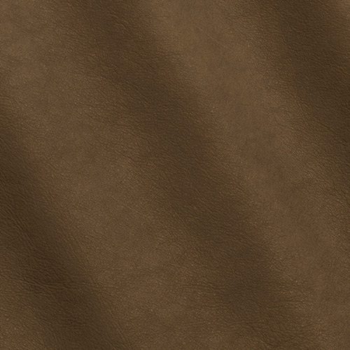 Express Fashion Sequoia Carbone 4004