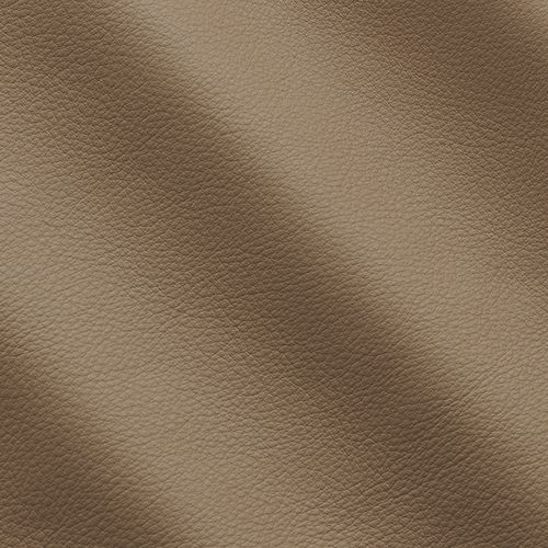 Express Fashion Seta Cappuccino I533285