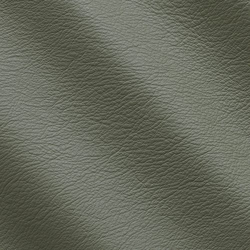Express Fashion Seta Olive I681546
