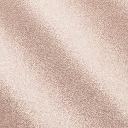 Mistral Shell IC11031