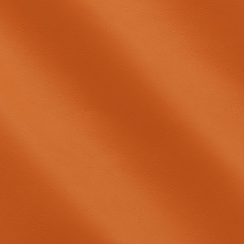 Skyline Lilium MS280069