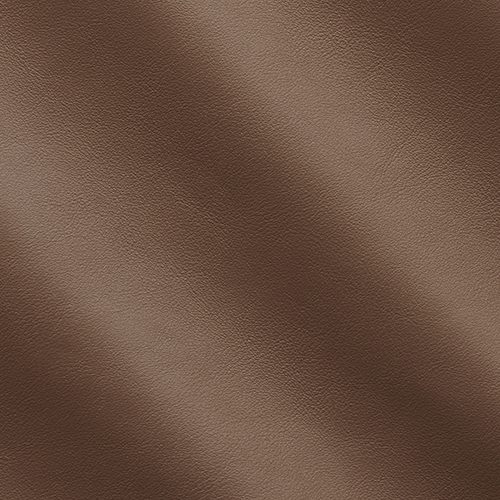 Express Fashion Skyline Lion MS640077