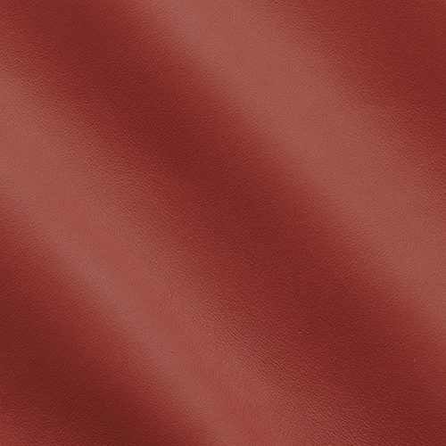 Express Fashion Skyline Parrot MS340042