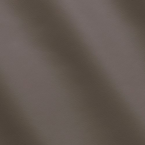 Mercury Flint C800112