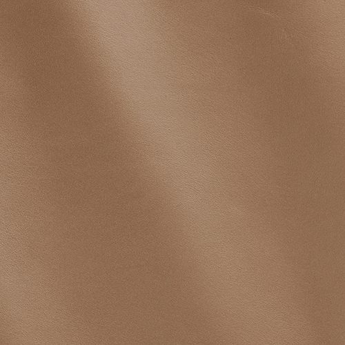 Express Fashion Trill Earth MS190067
