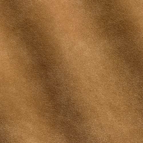 Vesuvio Lion MA480079