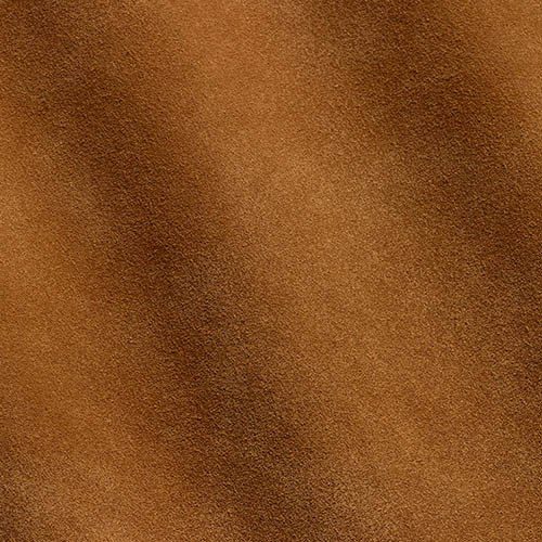 Express Fashion Vesuvio Lion MA480079