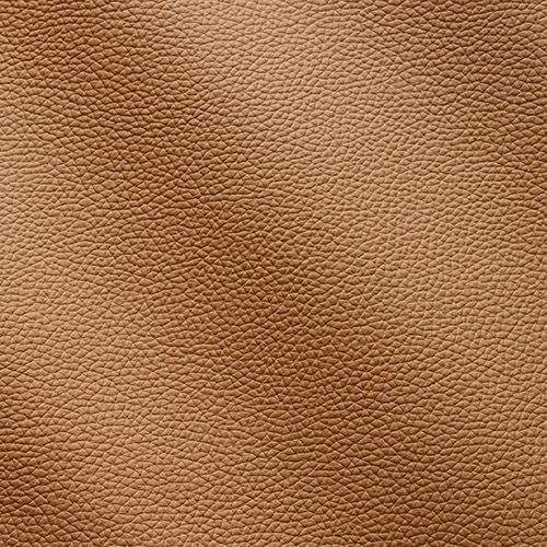 Express Fashion Zenith Champagne 9039