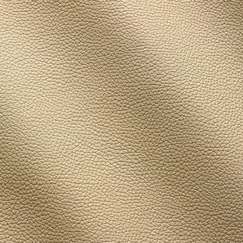 Express Fashion Zenith Ecru 9002