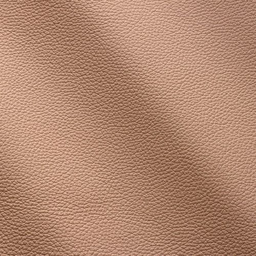 Express Fashion Zenith Nude 9043