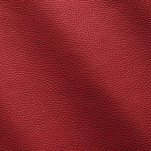 Express Fashion Zenith Rosso 9016