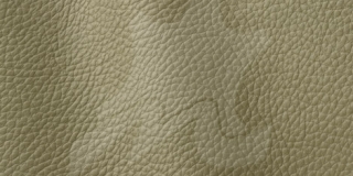 Atlantic Collection Olive 546