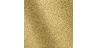 Express Fashion Adria Canarino D40680