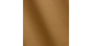 Express Fashion Adria Champagne D22501