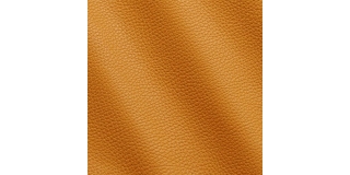 Express Fashion Adria Curry I561115