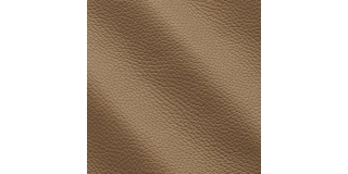 Express Fashion Adria Douglas I744674