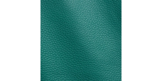Express Fashion Adria Emerald I83127