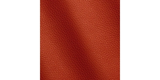 Express Fashion Adria Geranio D61269