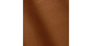 Express Fashion Adria Lion D32634