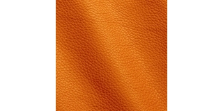 Express Fashion Adria Marigold I59530