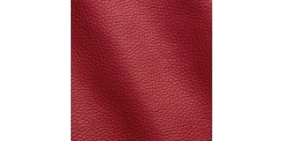 Express Fashion Adria Orchidea D61821